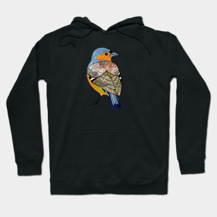 Chaffinch - little garden bird Hoodie